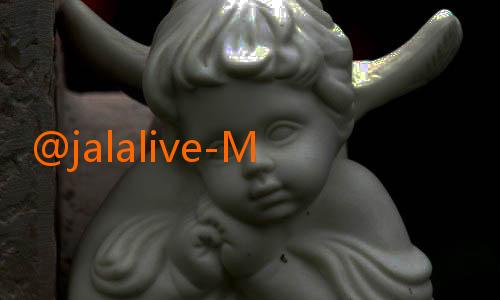 @jalalive-Manfaat Menakjubkan dari JalaLive Persik untuk Kesehatan dan Kecantikan Anda