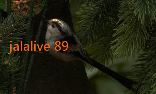 jalalive 89-Trade Rumor: OG Anunoby Menuju Miami Heat?