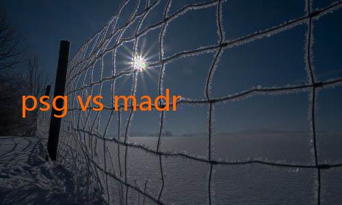 psg vs madrid jalalive-Membongkar Kekuatan Persib Bandung Menjelang Musim Baru Liga 1 2024